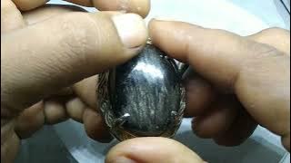 AWAS TERTIPU !!! perbedaan bulu macan lumajang & bulu macan rusia