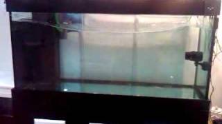 RR Wave Maker on 5ft tank