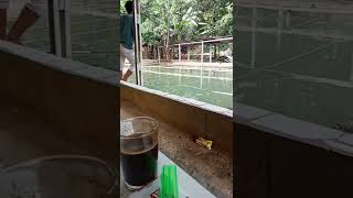 Download Lagu santai dulu pas JM 12 kita ngopi sambil liat yang mancing#shots MP3