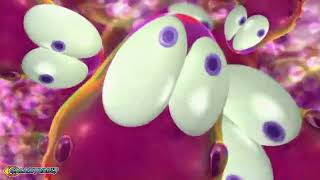 Blips Episode Popstar