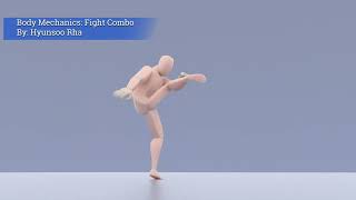 Fight Combo Animation Practice