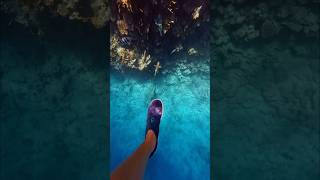 You want snorkeling? 🤿 | Come to Red Sea 🐠 #shorts #snorkeling