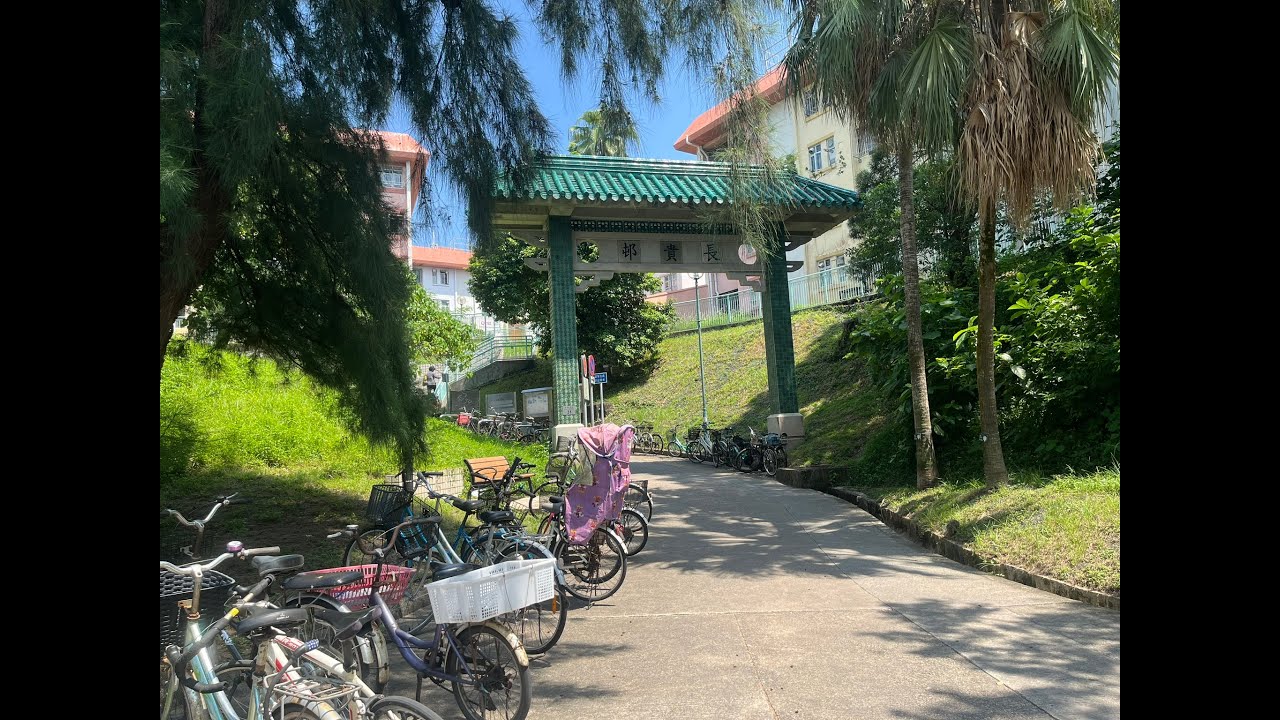 全港公屋 EP.11 - 長貴邨 - 一條位於長洲嘅屋邨