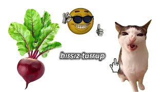 hırsız turruuppp sh!t @CharmQuell @DogukanAdalTvo @Baso @Yuukrp