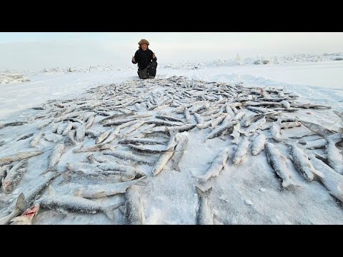 Видео: НЕВЕРОЯТНАЯ РЫБАЛКА, НАСТОЯЩИЕ ИСТОРИИ ЯКУТИИ!