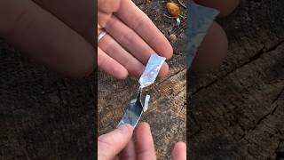 Merkt euch diesen Survival-Hack für den Ernstfall.🔋#survival #skills #campinglife #lifehacks #nature