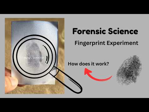 Forensic Science: Fingerprints on a Paper | Experiment | How does it work?