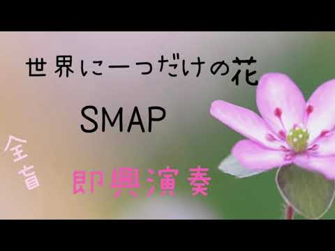 【耳コピ】令和のスティーヴィーワンダー 世界にひとつだけの花　ストリートピアノ