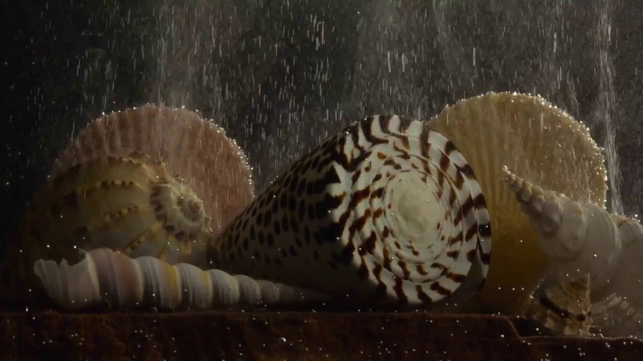 Digit - Abstraktes Mitgefühl