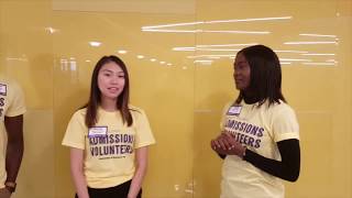 Come to the International Preview Day!