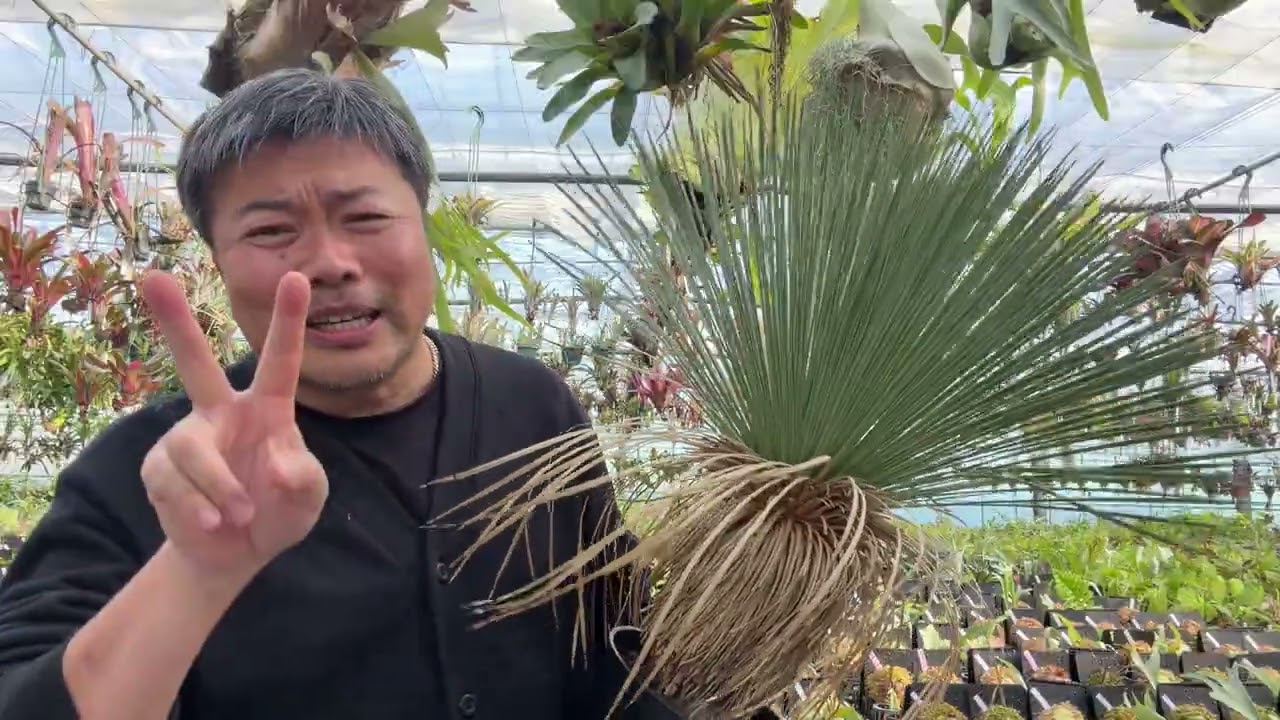 I finally got my hands on a plant I've been longing for for over