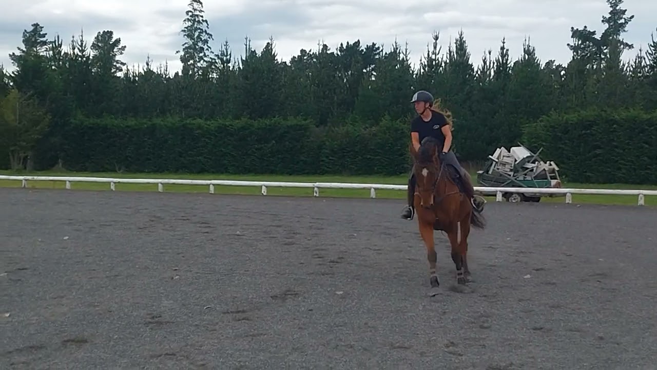 Pablo Show Hunter training 90cm 2024