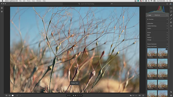 Profiles and Presets in Lightroom CC | Adobe Lightroom