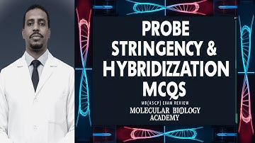 23. MB(ASCP) Exam: Probe Stringency & Hybridization CRASH COURSE! 🧬