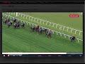 Melbourne Cup 2024 - Deep Dive into BUCKAROO, our top rated contender.