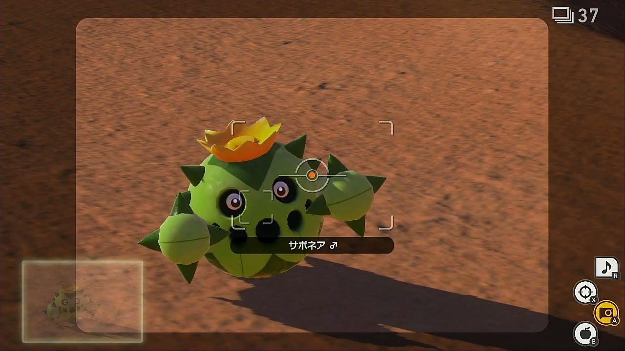 Newポケモンスナップ サボネアの星4ダイヤ写真の撮り方 写真評価