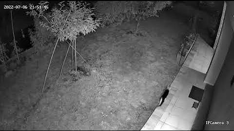 Domoticz free burglar alarm system and video on smartphone when an external sensor activates