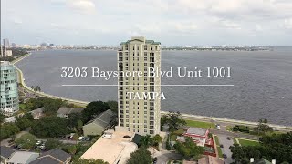 3203 Bayshore Blvd Unit 1001