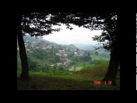 آمی دتر احمد بختیاری مازندرانی