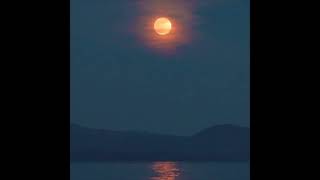 I Created My Own Music To Go With Nature Scenes.