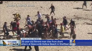Cape Cod Shark Attack: Man Killed At Newcomb Hollow In Wellfleet