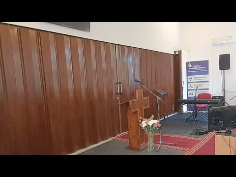 Previzualizare video