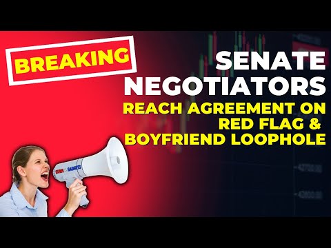 BREAKING NEWS: Senate Negotiators Reach Agreement On Red Flag & Boyfriend Loophole!
