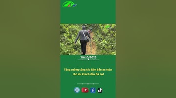 Tăng cường công tác đảm bảo an toàn cho du khách đến Đà Lạt #shorts #lamdongtv #news #thoisulamdong