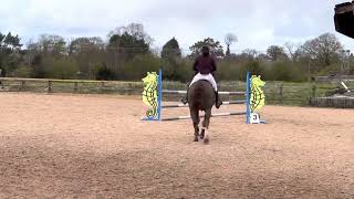 Don Believer, British Novice Second Round Jump-Off (4th)- Tushingham