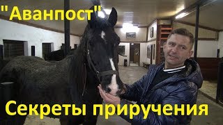видео:  картинка: