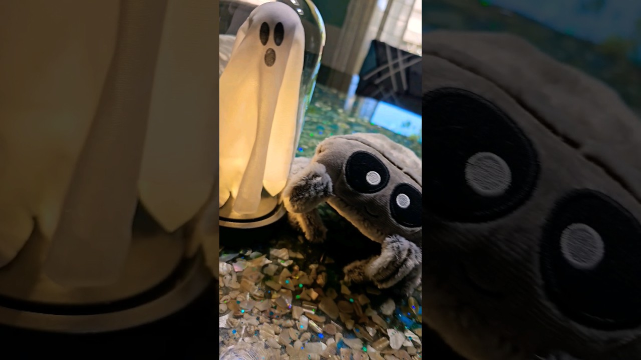 Spooky Halloween Ghost and Spider #halloween #ghost #spider