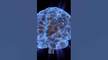 Neuroscience for Goal-Setting: Tiny Habits 2.0