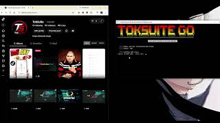 😱 TikTok View Bot Tool 2026 | TokSuite