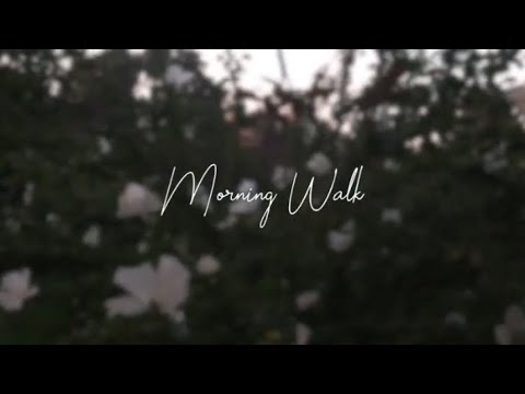 calming videos to watch ☀️Morning Walk☀️