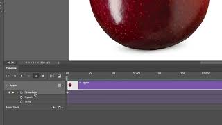 Timeline Animation & Tweening | Photoshop