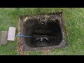 Live Sewer Divert Out Of New Extension Clean A Drain LTD 166