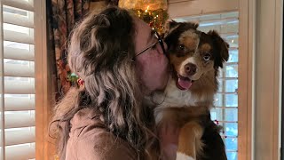 November 25, 2025 VLOG - 7 days before 30th surgery 
