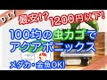 【約1000円】低予算でつくるアクアポニックス【自由研究】