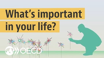 Interactive Better Life Index: Measuring what matters to you