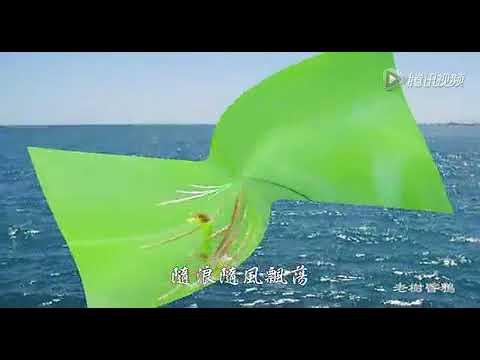【音乐 002】人生何处不相逢