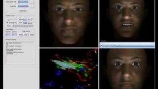 eFASE: An Expressive Facial Animation Synthesis System