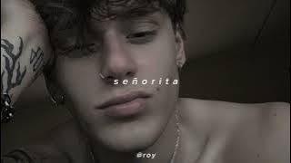 señorita (sped up) shawn mendes, camila cabello