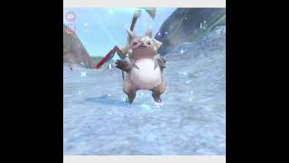 Gorochu in SV