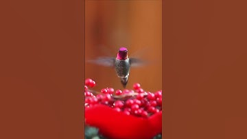 How are you? #chill #hopecore #nature #edit