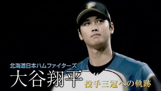 「北海道日本ハムファイターズ 大谷翔平　投手三冠への軌跡」 DVD　2016年3月16日(水)発売！