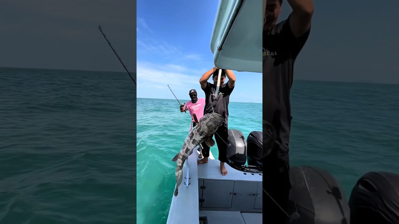 mantap Mas Bro mancing strike ikan kerapu super babon lur...👍👍🔥