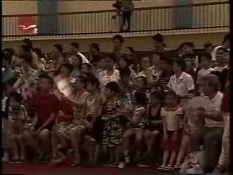 gymnastics equipment Zhang Nan 2001 Li Ning Cup UB