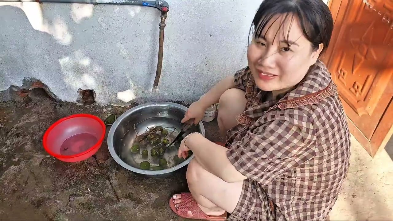 Daily vlog về quê Ninh Bình  ăn tết nguyên đán 2026