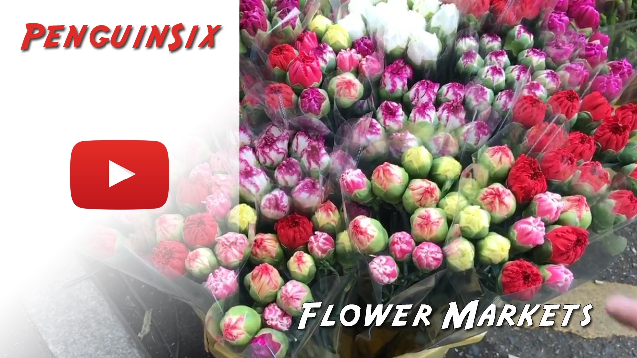 Hong Kong Flower Market on Valentine's Day 2017 VLog 27 YouTube