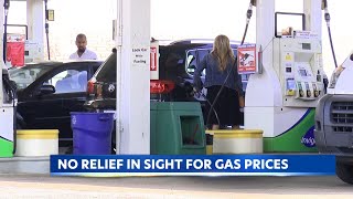 Hawaii's Fuel Crisis: Rising Tides of Oil